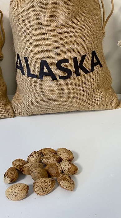 Almond Alaska (cov)