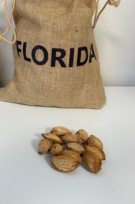 Almond Florida (cov)